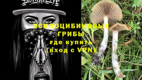 стаф Белоозёрский