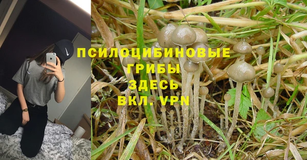 шишки Покровск