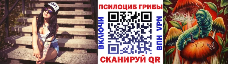 Псилоцибиновые грибы Magic Shrooms где купить наркоту Власиха
